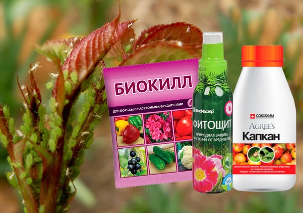 Средство от тли